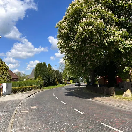 Fuer Zwei I Haustiere Willkommen 威廉港